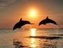delfina
