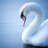 theopoula_patriki